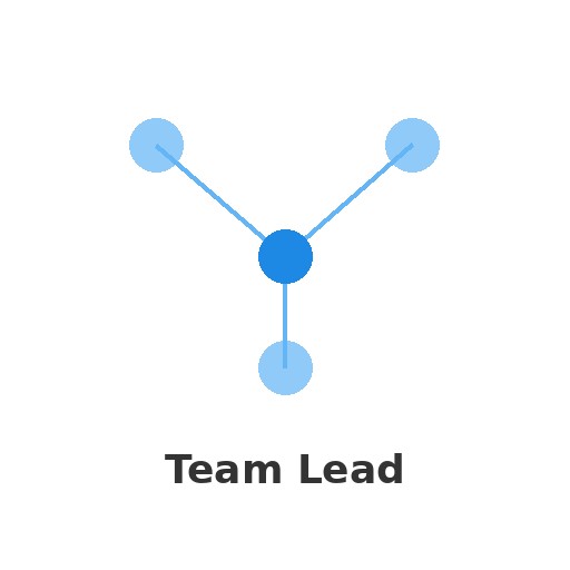 Team Lead