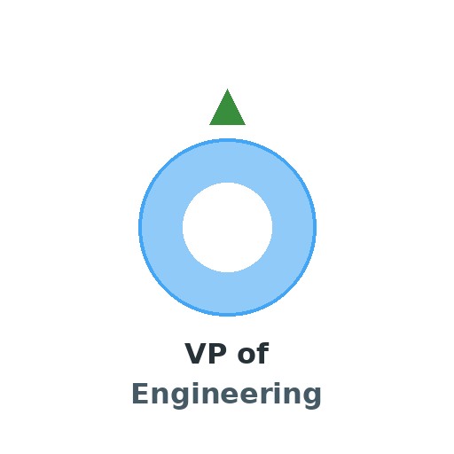 VP of Engineering
