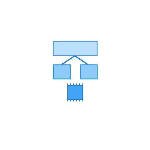 Chief Digital Officer (CDO) 